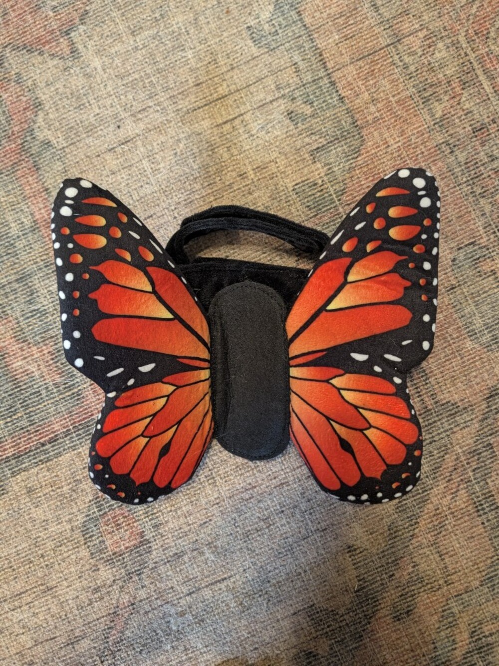 Small Dog Butterfly Costume